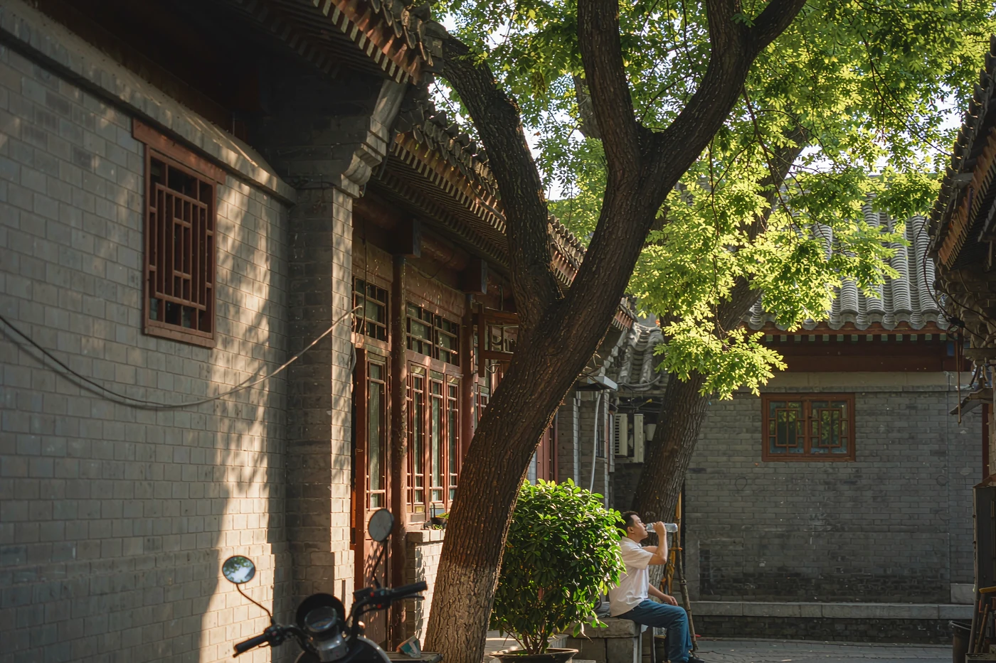 北京盛夏生存指南：35℃高温、潮湿与蚊虫怎么熬过去