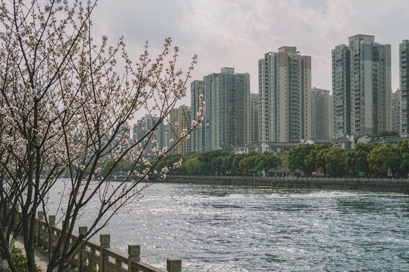三月出行：广州还是上海，哪座城市更适合你？